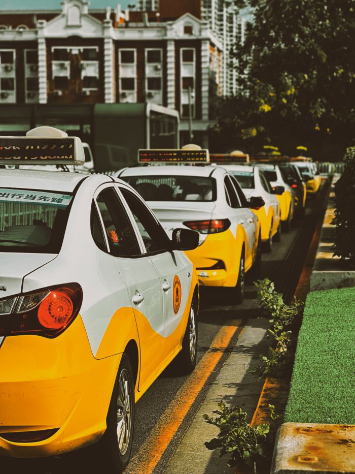 A row of yellow taxi cabs waits on a city street, providing urban transportation.